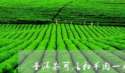 普洱茶可以和羊肉一起/2023092789270