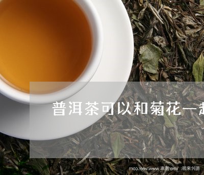 普洱茶可以和菊花一起泡茶吗/2023052729302