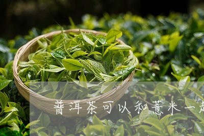 普洱茶可以和薏米一起/2023062116268