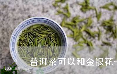 普洱茶可以和金银花一起泡吗/2023052761492