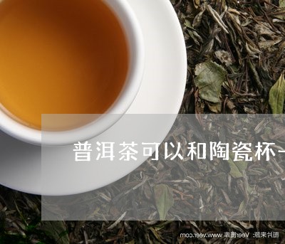 普洱茶可以和陶瓷杯一起泡吗/2023112603726