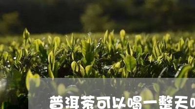 普洱茶可以喝一整天吗/2023092667160