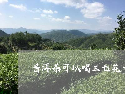 普洱茶可以喝三七花一起泡水吗/2023053071606