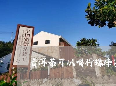 普洱茶可以喝柠檬蜂蜜一起泡吗/2023053074372