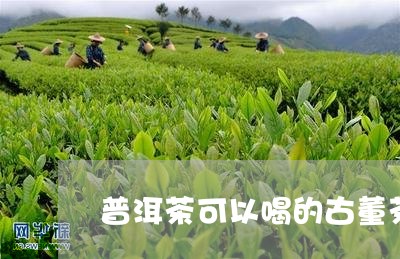 普洱茶可以喝的古董茶/2023080312936