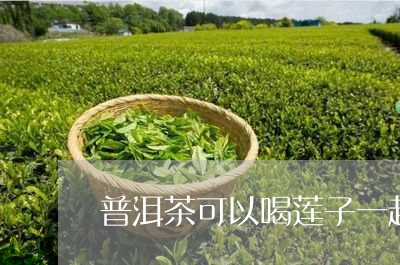 普洱茶可以喝莲子一起吃吗/2023051040706