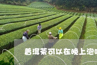 普洱茶可以在晚上泡吗/2023073148462