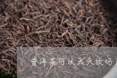 普洱茶可以天天饮吗百度/2023083096149