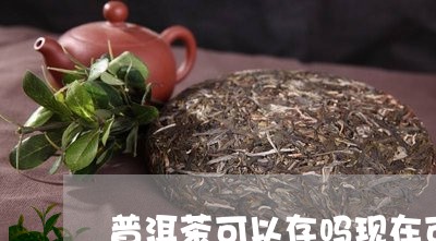 普洱茶可以存吗现在可以吗/2023121649693