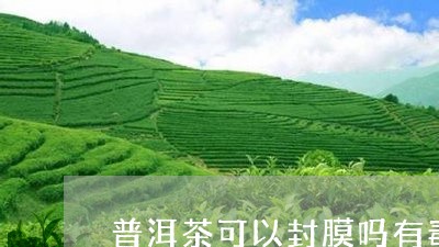 普洱茶可以封膜吗有毒吗/2023082782714