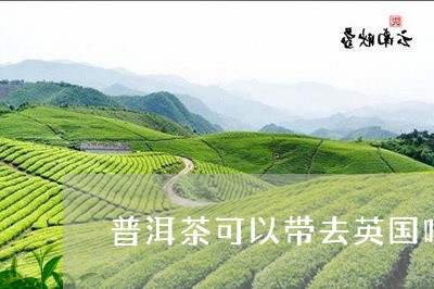 普洱茶可以带去英国吗/2023080106950