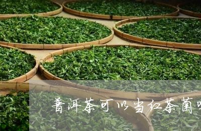 普洱茶可以当红茶菌吗/2023072310616