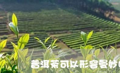 普洱茶可以形容曼妙吗/2023062784936