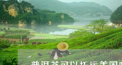 普洱茶可以托运美国吗现在/2023112458170