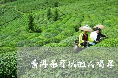 普洱茶可以把人喝厚了/2023072487282