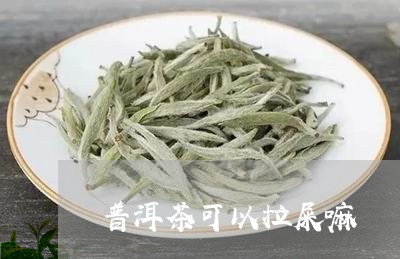 普洱茶可以拉屎嘛/2023083016040