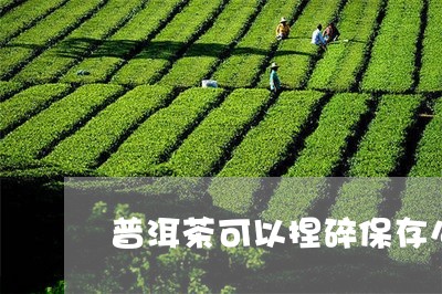 普洱茶可以捏碎保存么/2023100888482