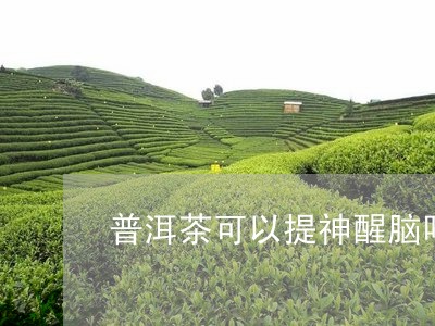 普洱茶可以提神醒脑吗/2023092973917