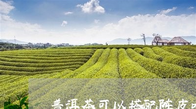 普洱茶可以搭配陈皮吗功效/2023112492718