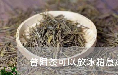 普洱茶可以放冰箱急冻吗/2023102482684