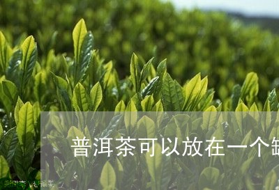 普洱茶可以放在一个罐里吗/2023051038382