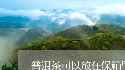 普洱茶可以放在保箱里吗/2023110249794