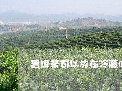 普洱茶可以放在冷藏吗/2023073171402