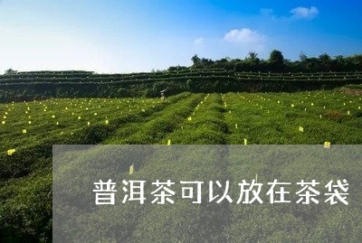 普洱茶可以放在茶袋/2023120525059