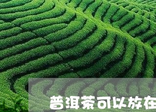 普洱茶可以放在铁盒吗/2023080176260