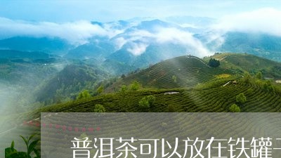 普洱茶可以放在铁罐子里嘛/2023112989603