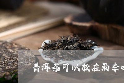 普洱茶可以放在雨季吗/2023062549696