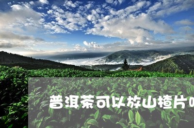 普洱茶可以放山楂片吗/2023061886278