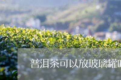 普洱茶可以放玻璃罐吗/2023092706260