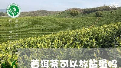 普洱茶可以放盐蛋吗/2023042863748