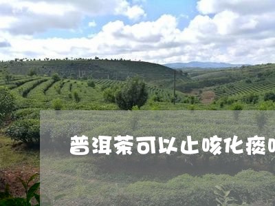 普洱茶可以止咳化痰吗/2023080281515