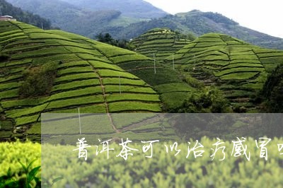 普洱茶可以治疗感冒吗/2023100729725