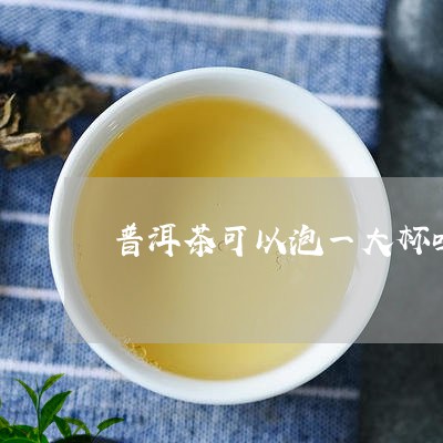 普洱茶可以泡一大杯吗多少钱/2023052829573