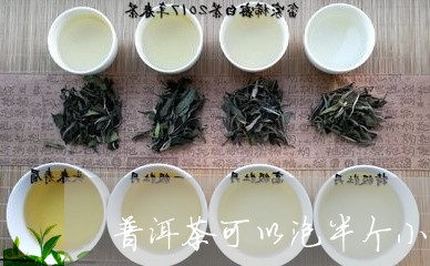 普洱茶可以泡半个小时/2023100835140