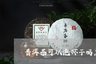 普洱茶可以泡杯子吗怎么泡/2023121634929