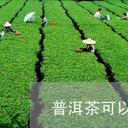 普洱茶可以泡第二天吗/2023092594960