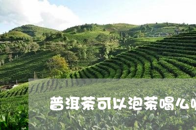 普洱茶可以泡茶喝么嘛/2023120627271