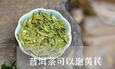 普洱茶可以泡黄芪/2023120470593