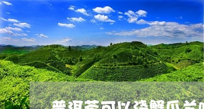 普洱茶可以浇蟹爪兰吗/2023092827469