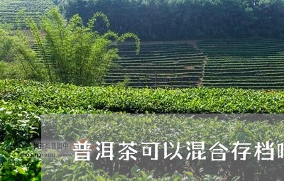 普洱茶可以混合存档吗/2023100526059