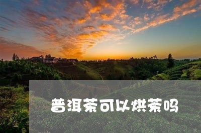 普洱茶可以烘茶吗/2023120474960