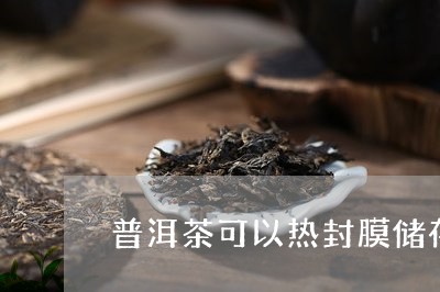 普洱茶可以热封膜储存吗/2023103194848