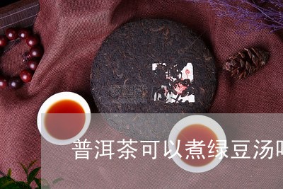 普洱茶可以煮绿豆汤吗/2023092712614