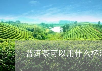 普洱茶可以用什么杯泡/2023061812818