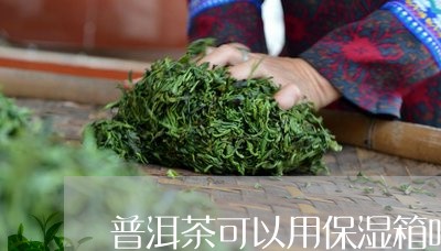 普洱茶可以用保湿箱吗/2023092803859