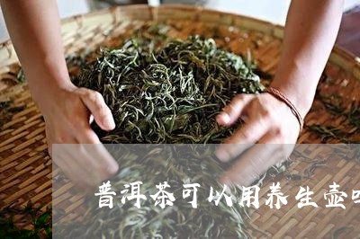 普洱茶可以用养生壶吗/2023062197149